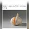 Go to the profile of ALADI...
