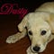 Go to the profile of Dave Grigger