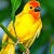 Go to the profile of SHOJIB KUMAR AKASH