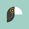 Go to the profile of Toucan Toco