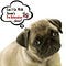Go to the profile of Petre Locationsg