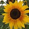 Go to the profile of Leila Gallegos Clark