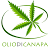 Go to the profile of Olio Di Canapa