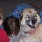 Go to the profile of Anne Malloch-Mcbride