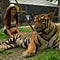 Go to the profile of Danya Adib