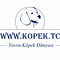 Go to the profile of Köpek Dünyası