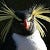Go to the profile of Ian Gulliver