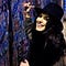 Go to the profile of Samira Ann Qassim