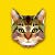 Go to the profile of SHI_YUEFAN_2892936