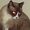 Go to the profile of Richardof Orange