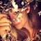 Go to the profile of Kseniya Lukina