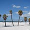 Go to the profile of Tampa Live
