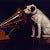 Go to the profile of Boys Voice