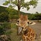 Go to the profile of Judy Westra