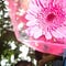 Go to the profile of neha nupoor
