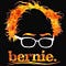 Go to the profile of I Endorse Bernie