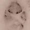 Go to the profile of Scottie Westfall