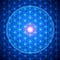 Go to the profile of orion
