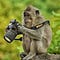 Go to the profile of Renato Rocha Miranda