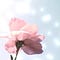 Go to the profile of eunice.tee07