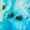 Go to the profile of The Archipelago