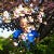 Go to the profile of Dick Pellek