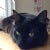 Go to the profile of Heidi See