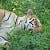 Go to the profile of Raghunandan Kavi