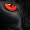 Go to the profile of Opheriaux