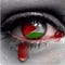 Go to the profile of Kolo