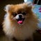 Go to the profile of princessmiwi