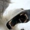 Go to the profile of Nanook