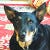 Go to the profile of Rio Brewster