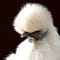 Go to the profile of Karen Leibowitz