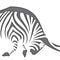 Go to the profile of Agence Maverick