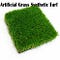 Go to the profile of Artificial Grass Synthetic Turf