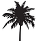 Go to the profile of Pacific Issue