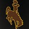 Go to the profile of Cowboy Conservative