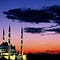 Go to the profile of Meral Saygın
