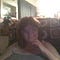 Go to the profile of Gwendolynn Davis