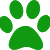 Go to the profile of Paws Holic