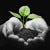 Go to the profile of Perennial Polyculture