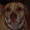 Go to the profile of Stan Bryars