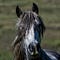Go to the profile of estancia cerro paine