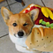 Go to the profile of Sam