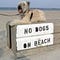 Go to the profile of Linda S. Morrell
