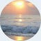 Go to the profile of ChennaiFocus