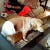 Go to the profile of Iddy Ott