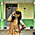 Go to the profile of Jane Marito