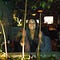 Go to the profile of Teresa Truda